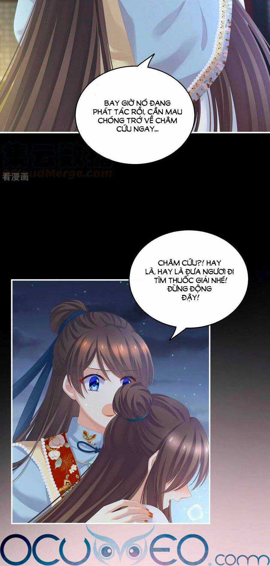 Hậu Cung Của Nữ Đế Chapter 238 trang 5