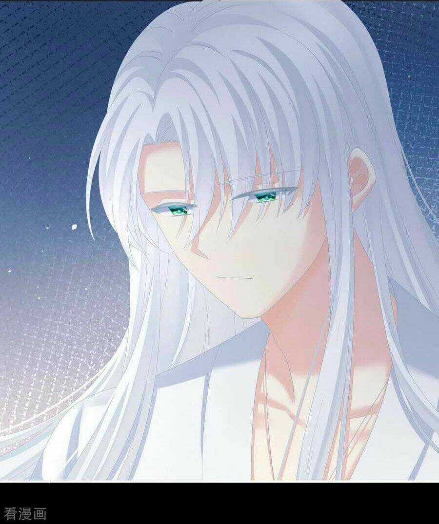 Hậu Cung Của Nữ Đế Chapter 240 trang 10