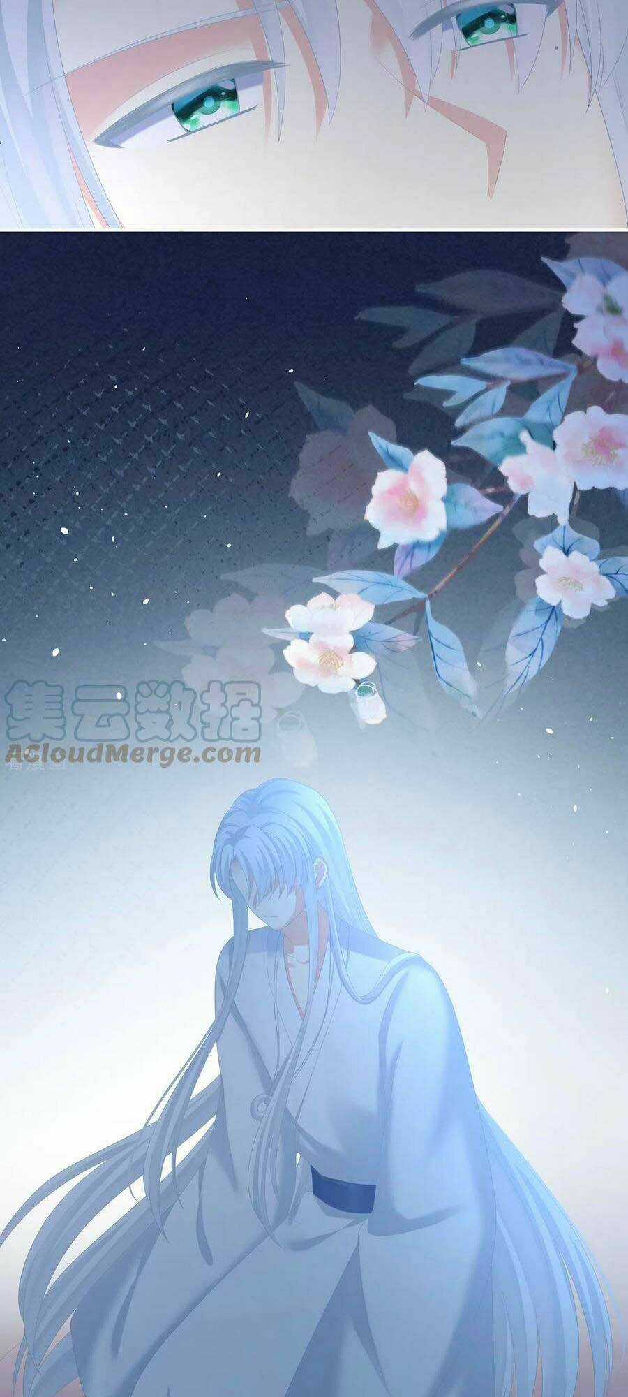 Hậu Cung Của Nữ Đế Chapter 240 trang 8