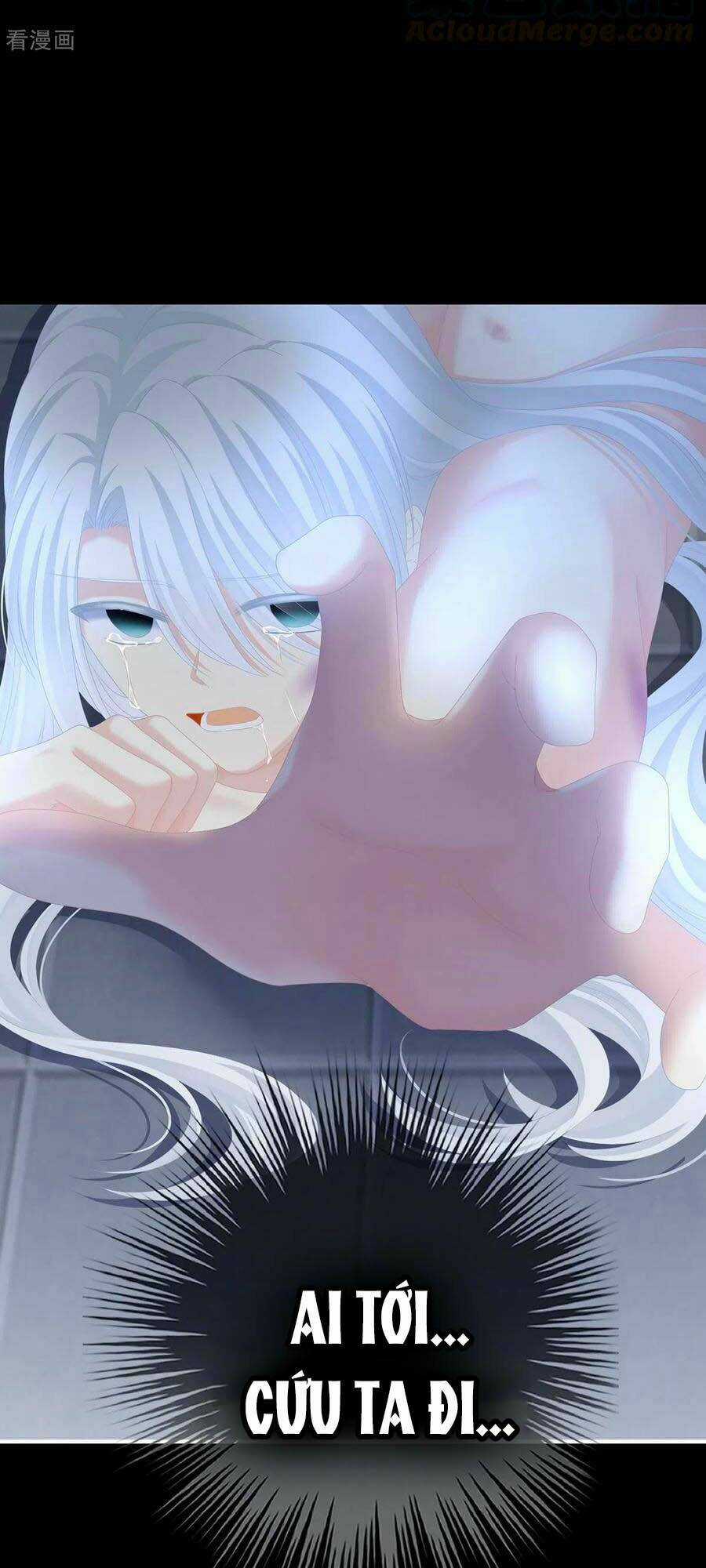 Hậu Cung Của Nữ Đế Chapter 241 trang 38