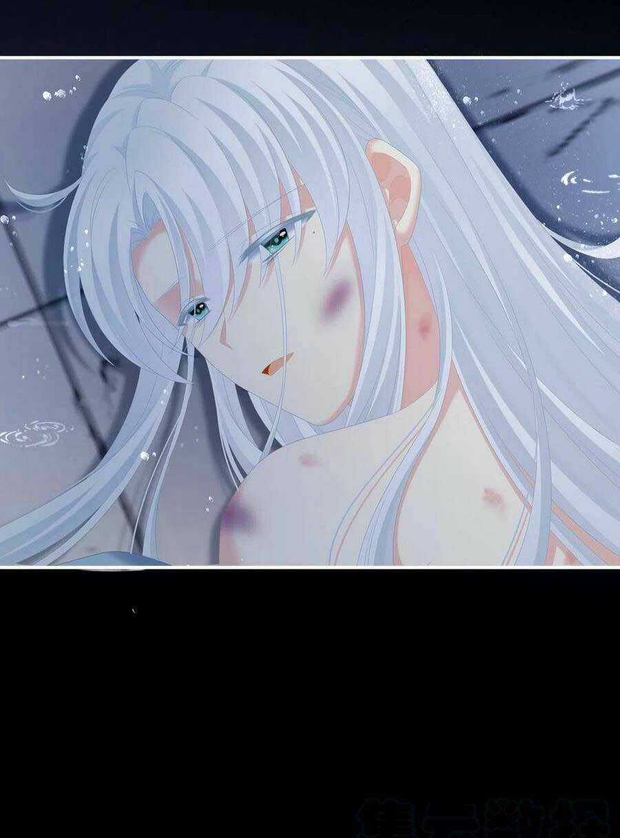 Hậu Cung Của Nữ Đế Chapter 241 trang 43