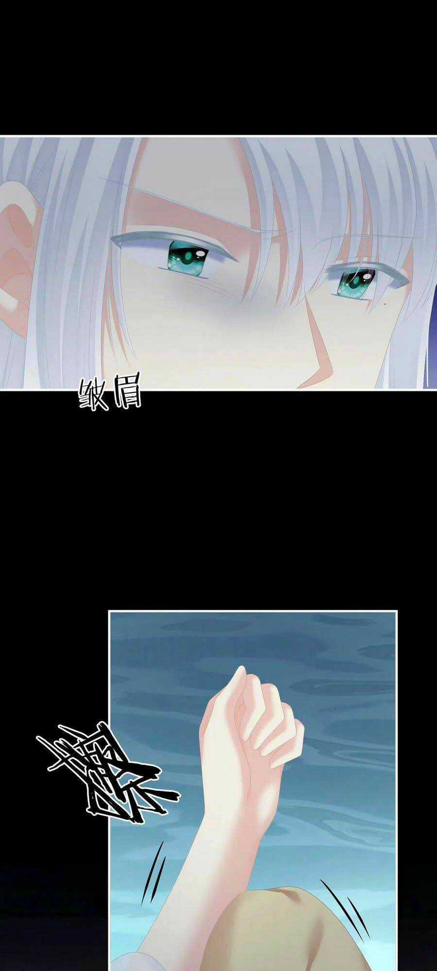 Hậu Cung Của Nữ Đế Chapter 242 trang 0