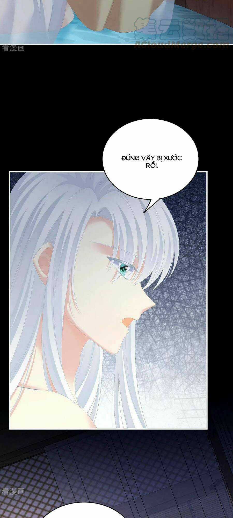 Hậu Cung Của Nữ Đế Chapter 242 trang 4