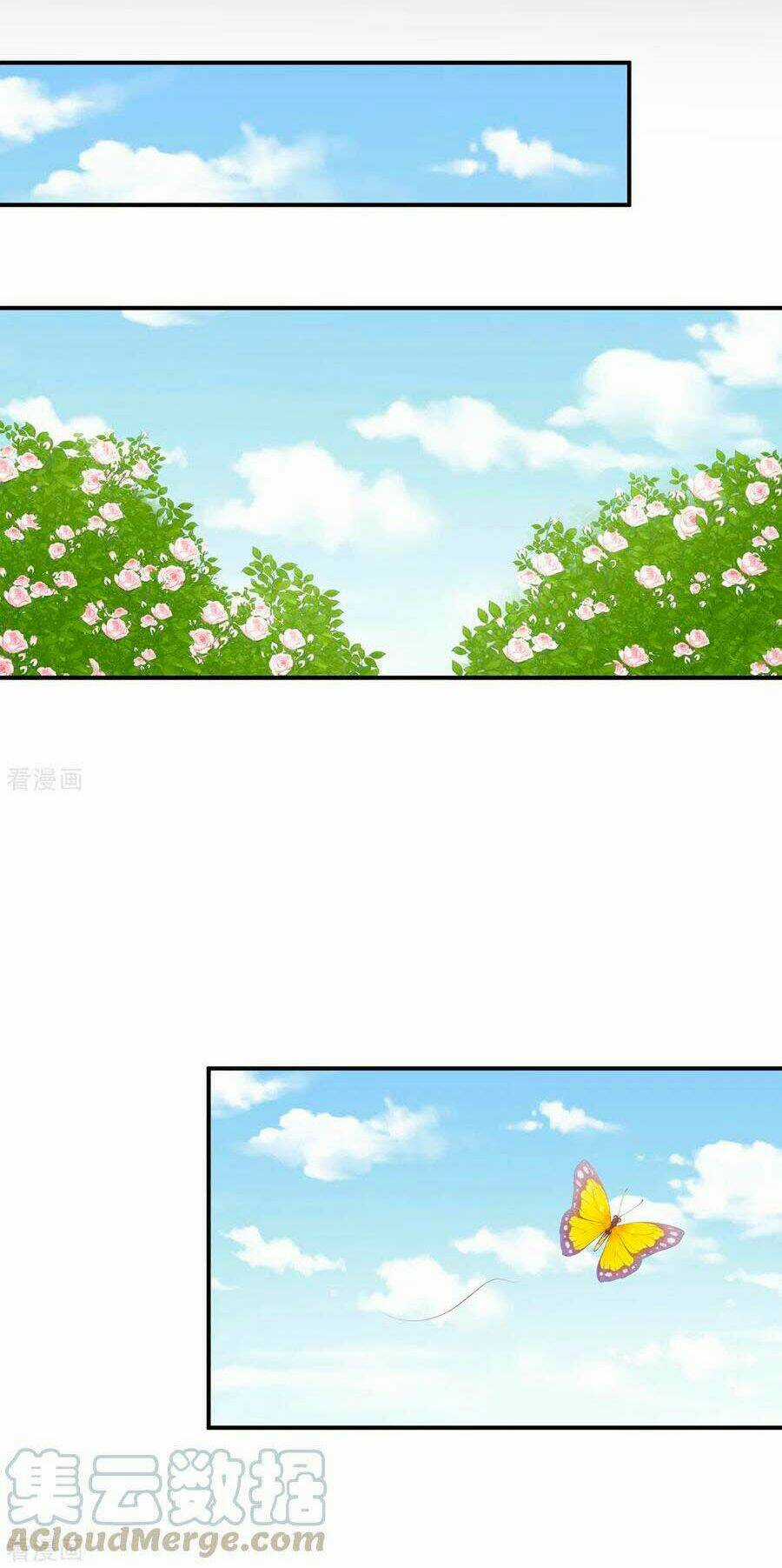 Hậu Cung Của Nữ Đế Chapter 243 trang 24