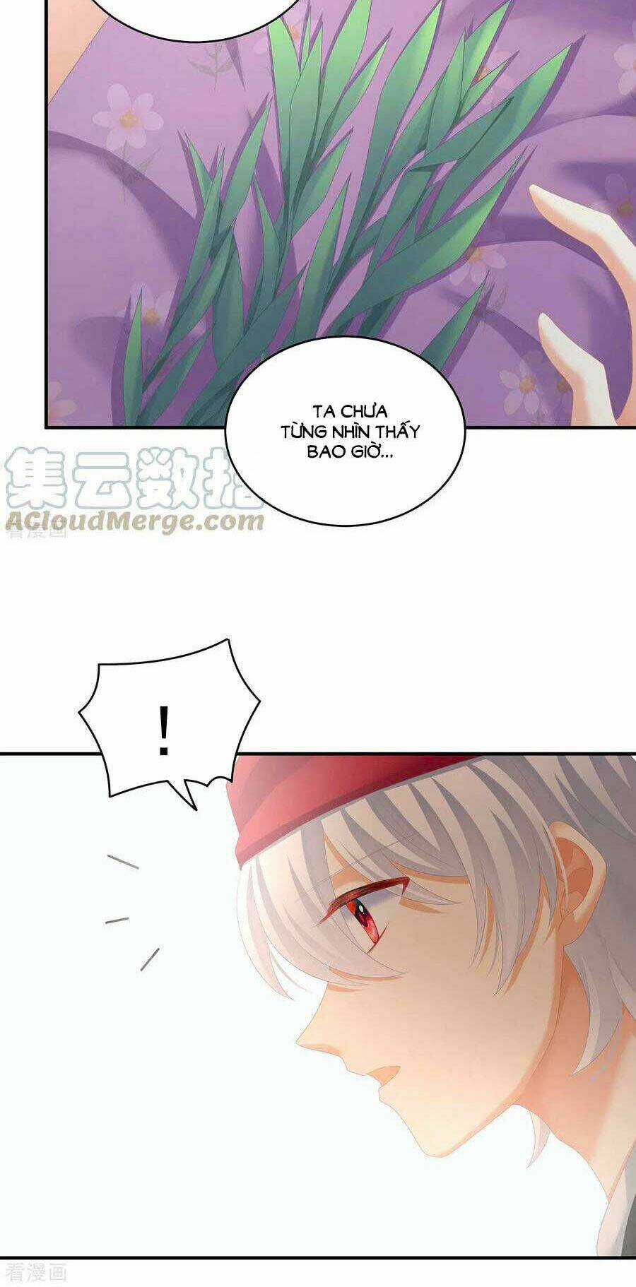 Hậu Cung Của Nữ Đế Chapter 244 trang 12