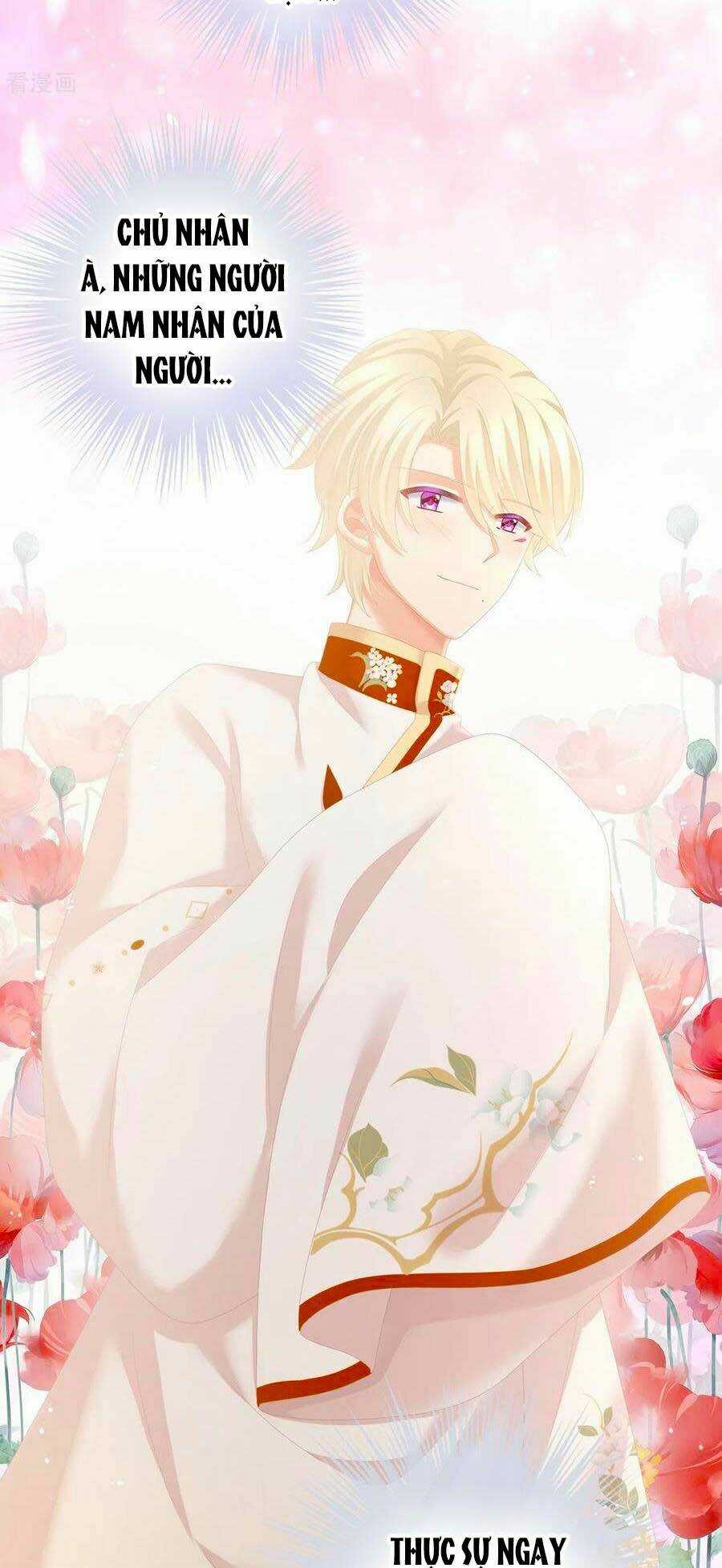 Hậu Cung Của Nữ Đế Chapter 244 trang 15