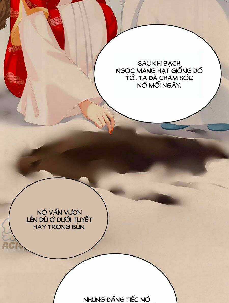 Hậu Cung Của Nữ Đế Chapter 245 trang 29