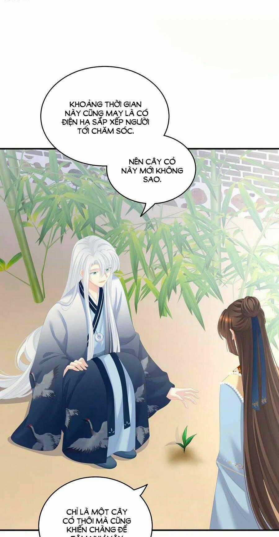 Hậu Cung Của Nữ Đế Chapter 246 trang 1