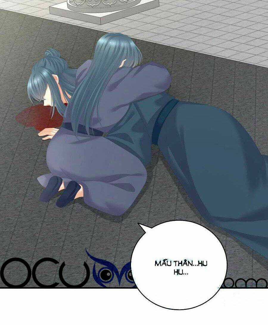 Hậu Cung Của Nữ Đế Chapter 248 trang 13
