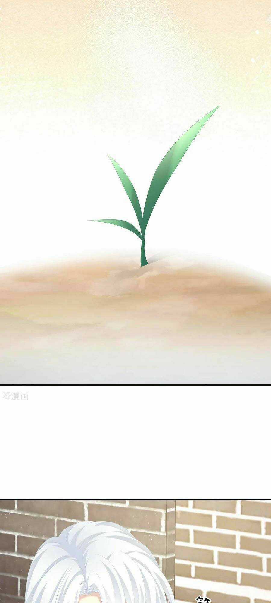 Hậu Cung Của Nữ Đế Chapter 249 trang 36