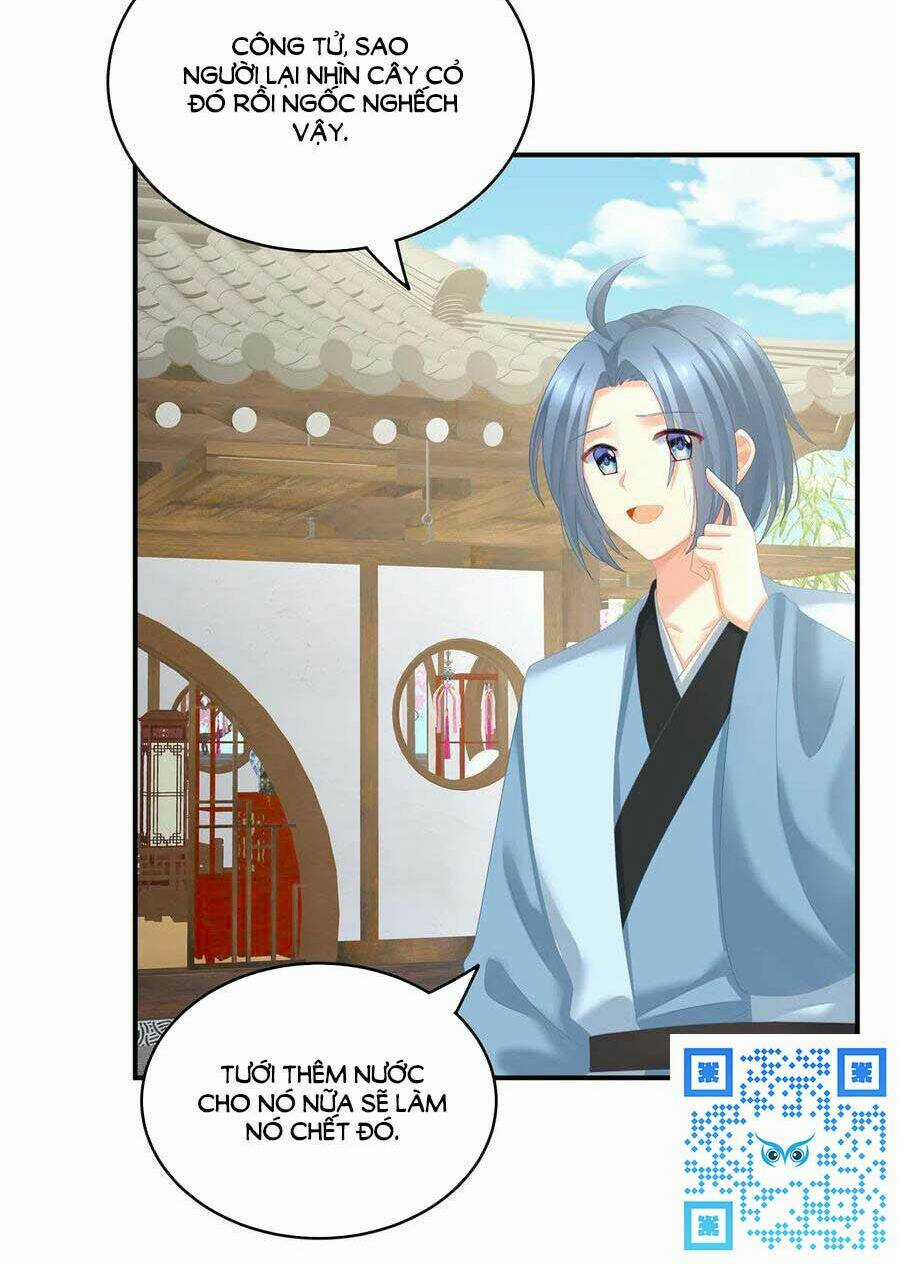 Hậu Cung Của Nữ Đế Chapter 249 trang 38