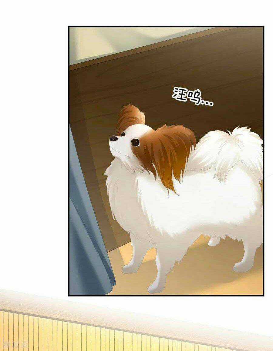 Hậu Cung Của Nữ Đế Chapter 249 trang 6