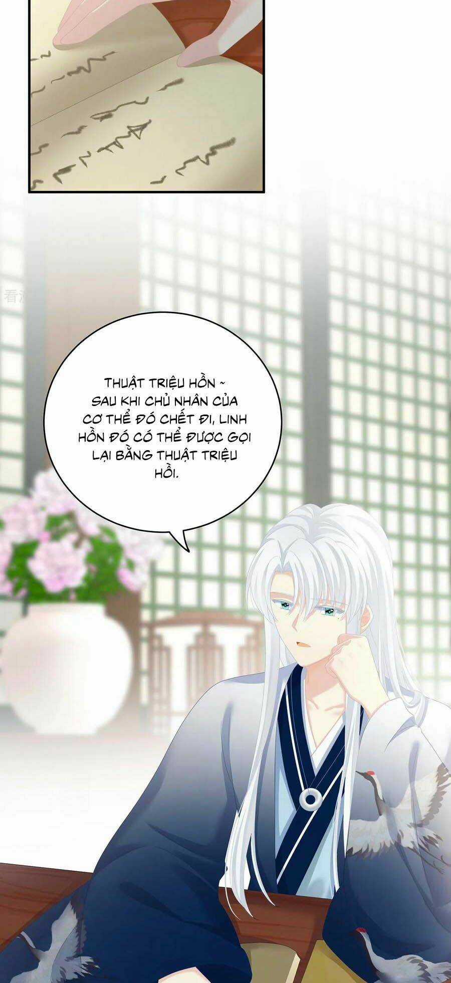 Hậu Cung Của Nữ Đế Chapter 250 trang 5