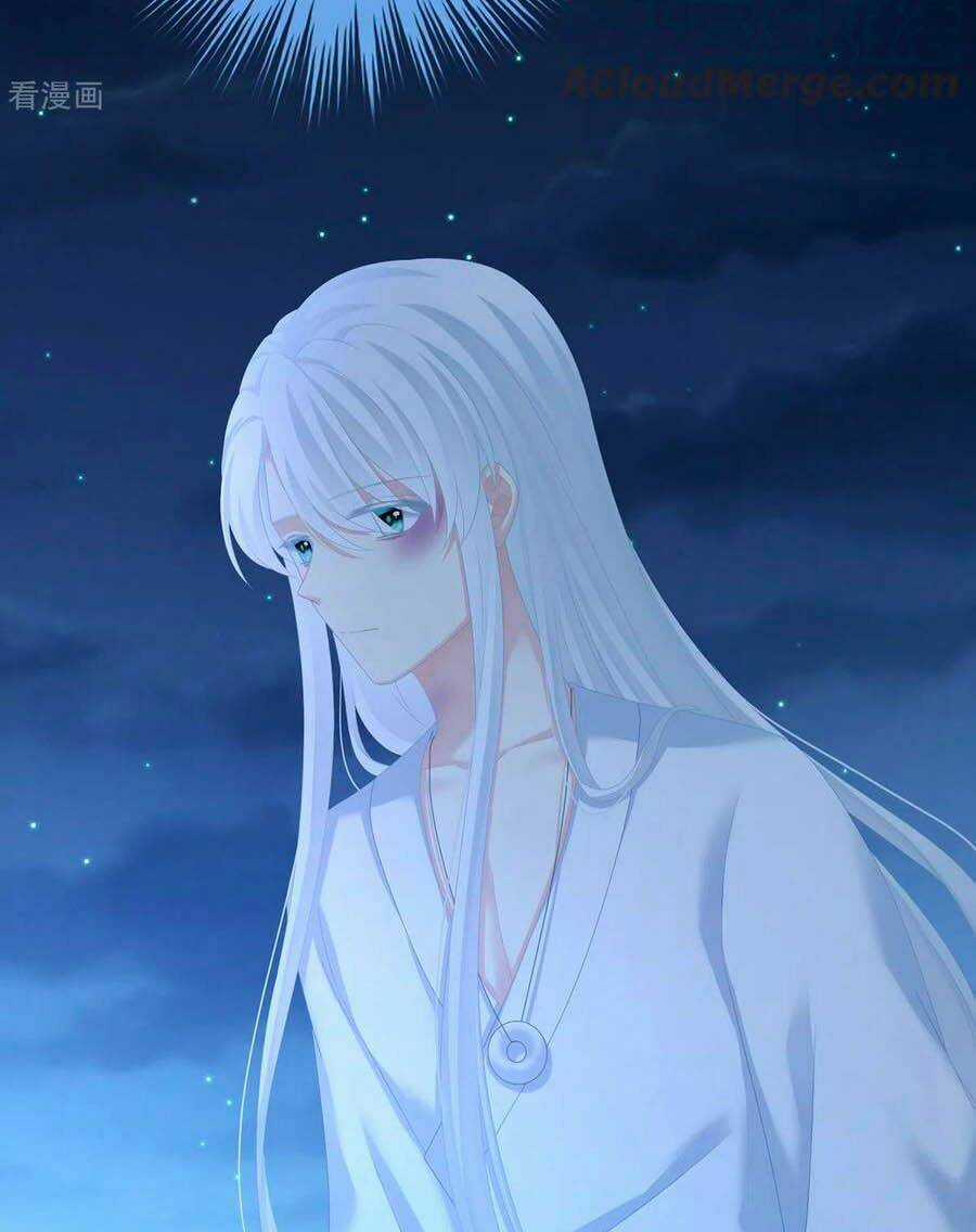 Hậu Cung Của Nữ Đế Chapter 251 trang 13