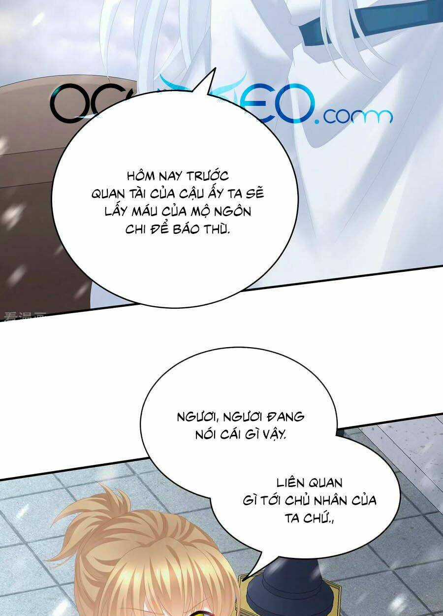 Hậu Cung Của Nữ Đế Chapter 252 trang 14