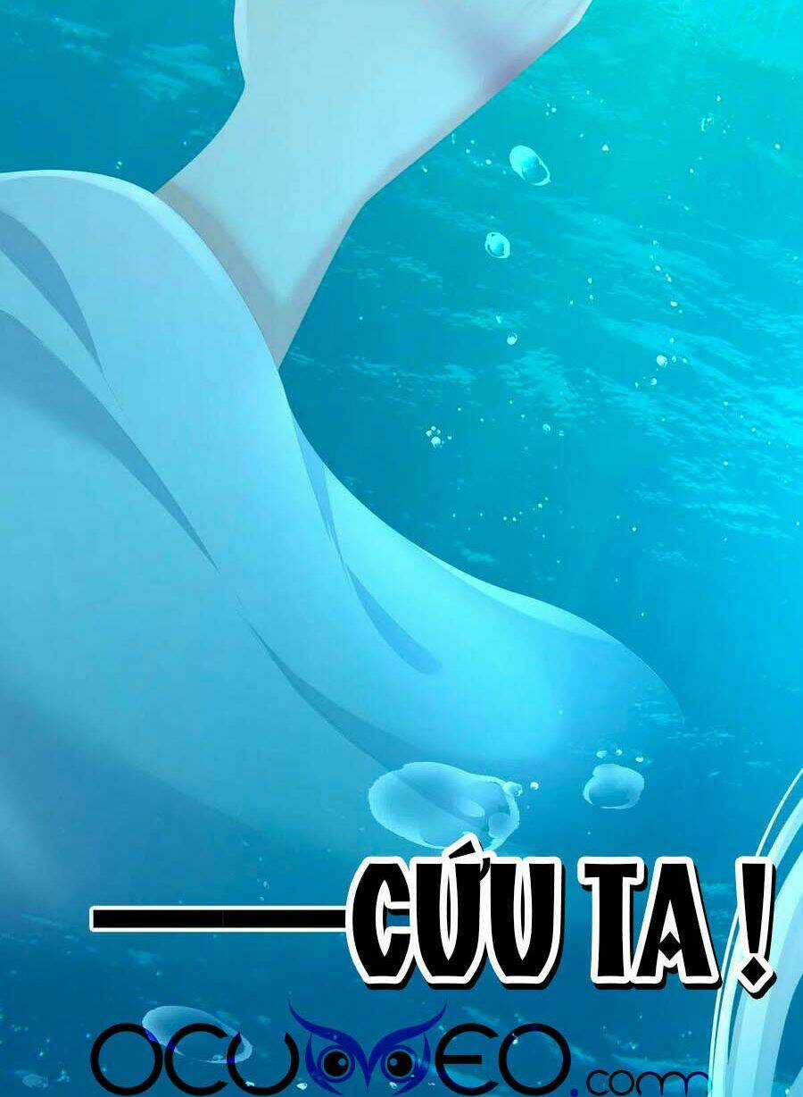 Hậu Cung Của Nữ Đế Chapter 254 trang 31