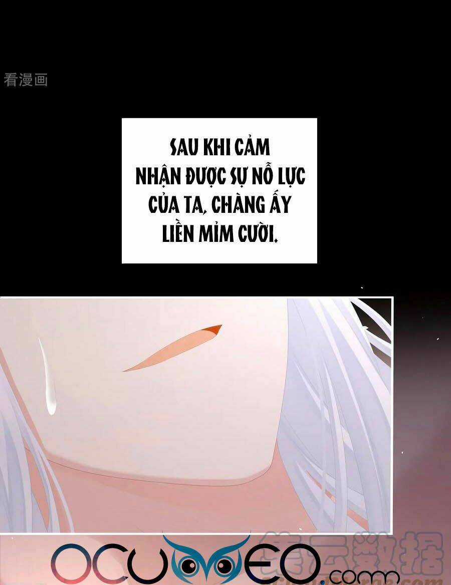 Hậu Cung Của Nữ Đế Chapter 257 trang 10