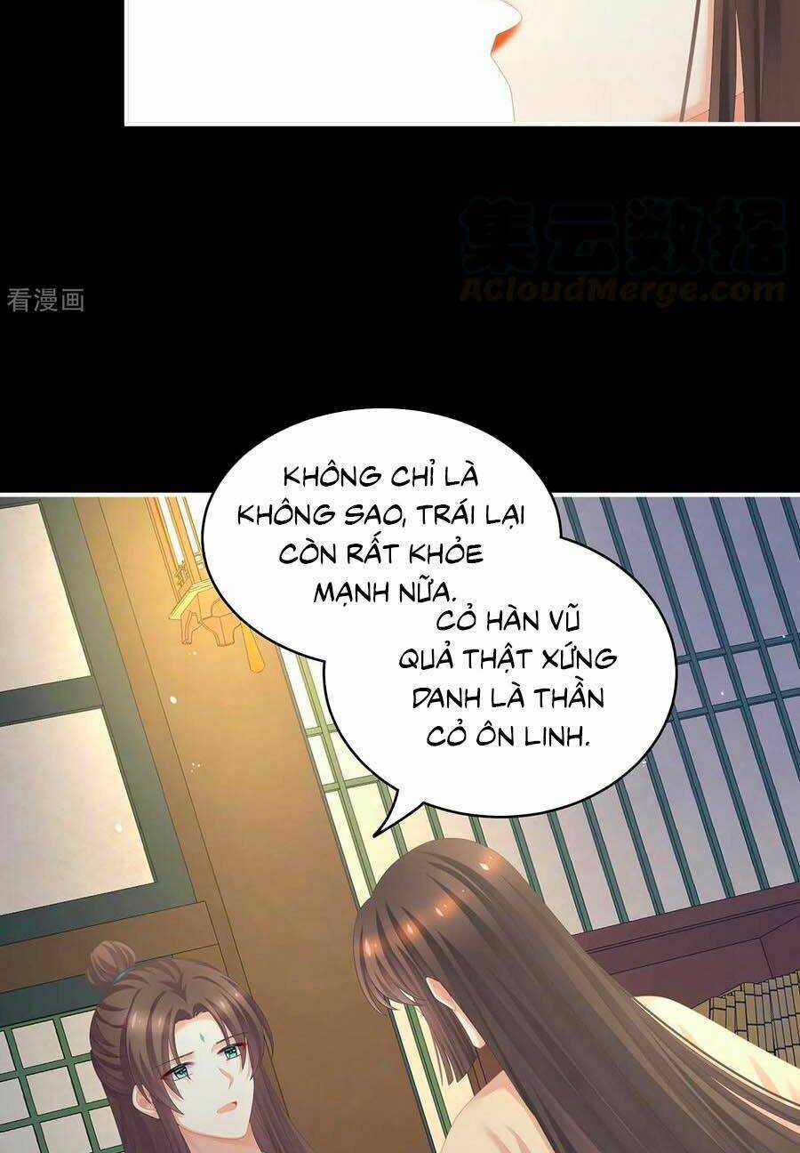 Hậu Cung Của Nữ Đế Chapter 257 trang 25