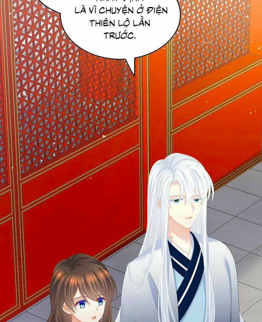 Hậu Cung Của Nữ Đế Chapter 258 trang 13