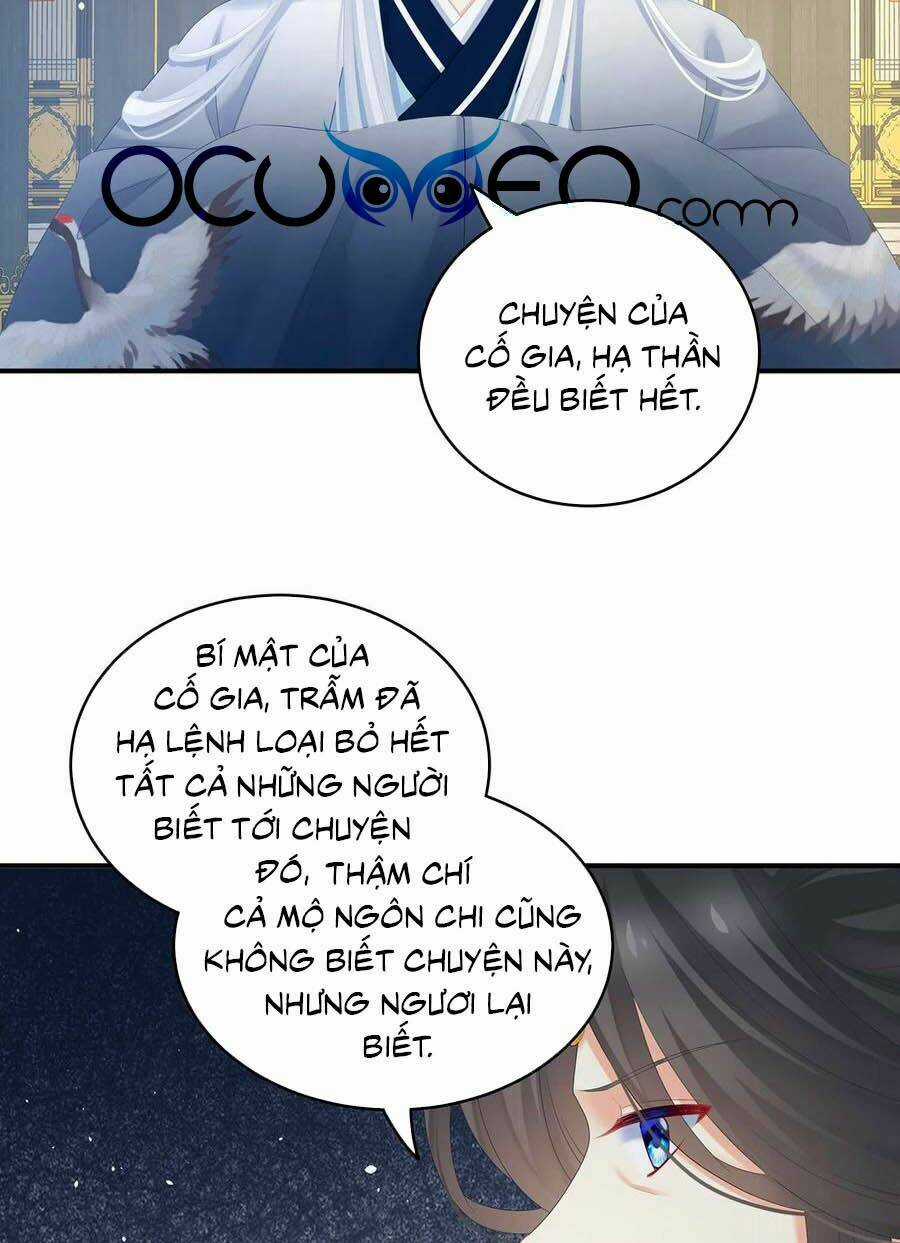 Hậu Cung Của Nữ Đế Chapter 258 trang 24