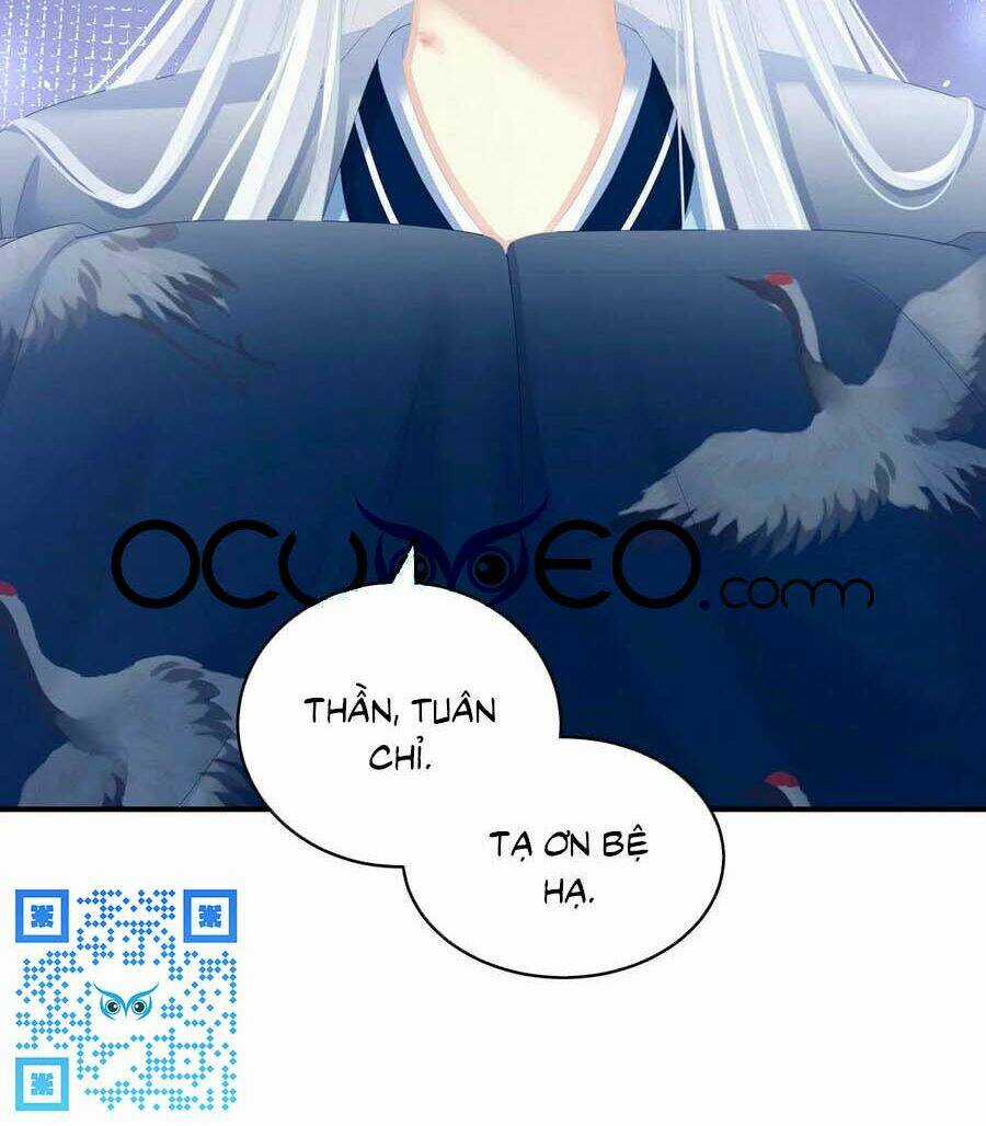 Hậu Cung Của Nữ Đế Chapter 258 trang 47