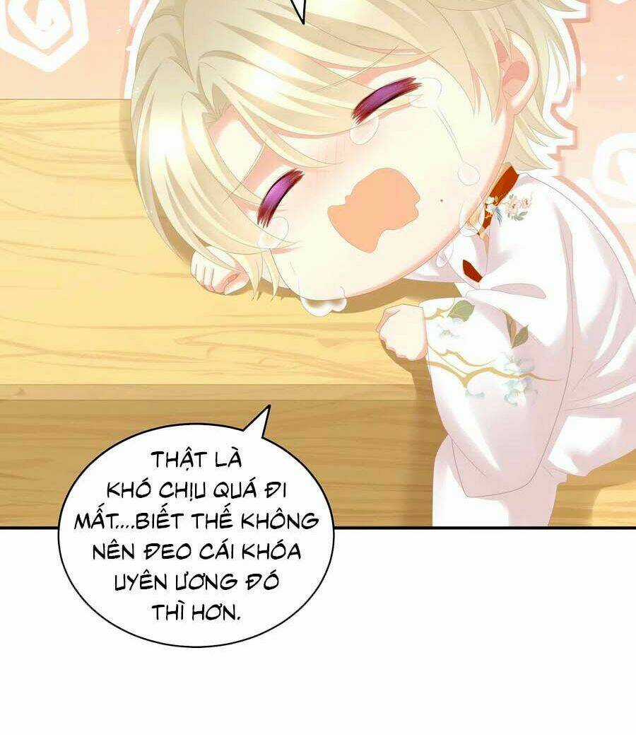 Hậu Cung Của Nữ Đế Chapter 262 trang 3