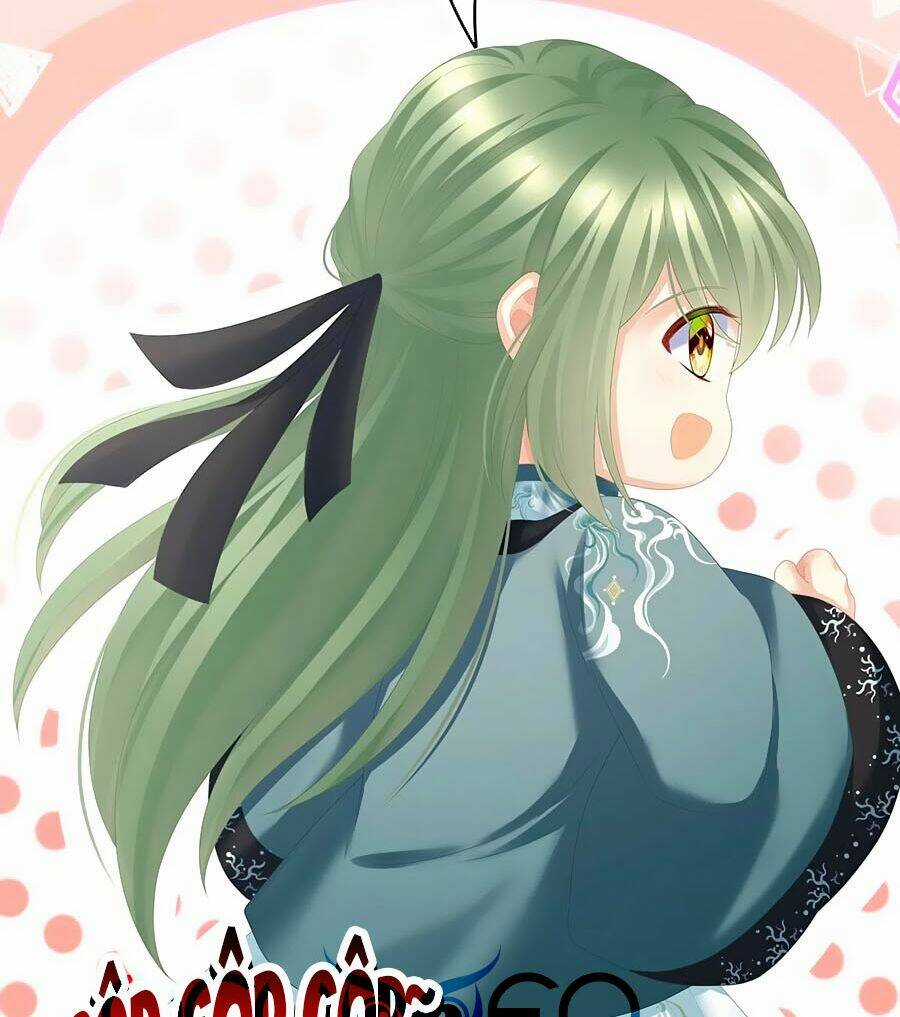 Hậu Cung Của Nữ Đế Chapter 264 trang 13