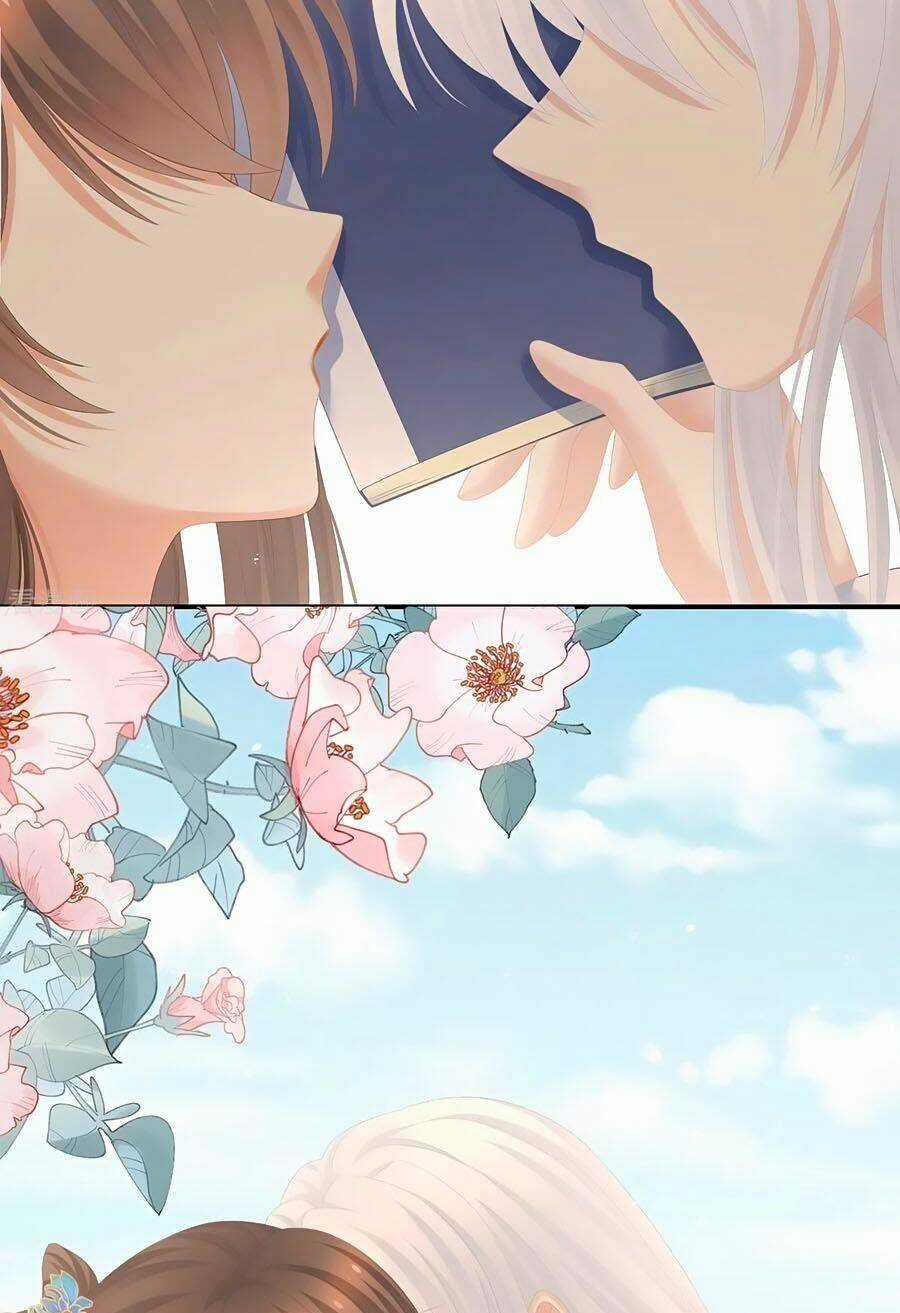 Hậu Cung Của Nữ Đế Chapter 264 trang 25