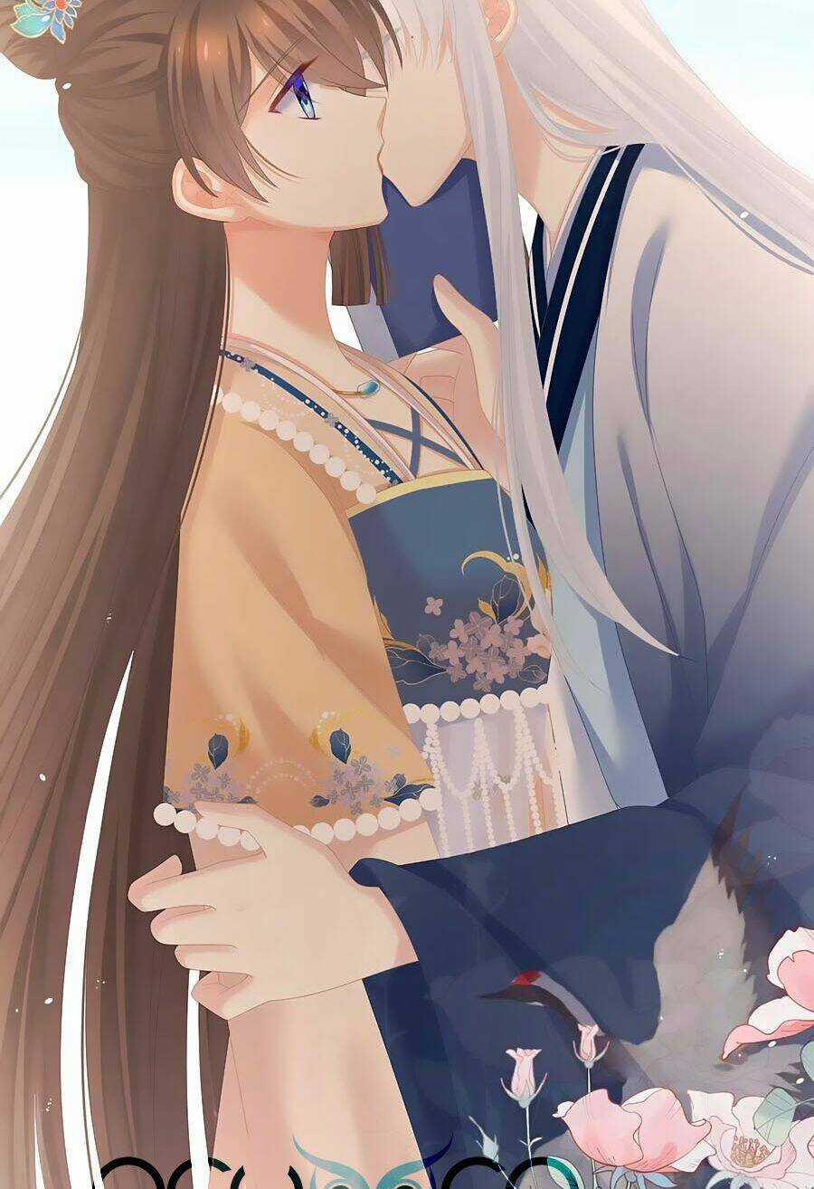 Hậu Cung Của Nữ Đế Chapter 264 trang 26