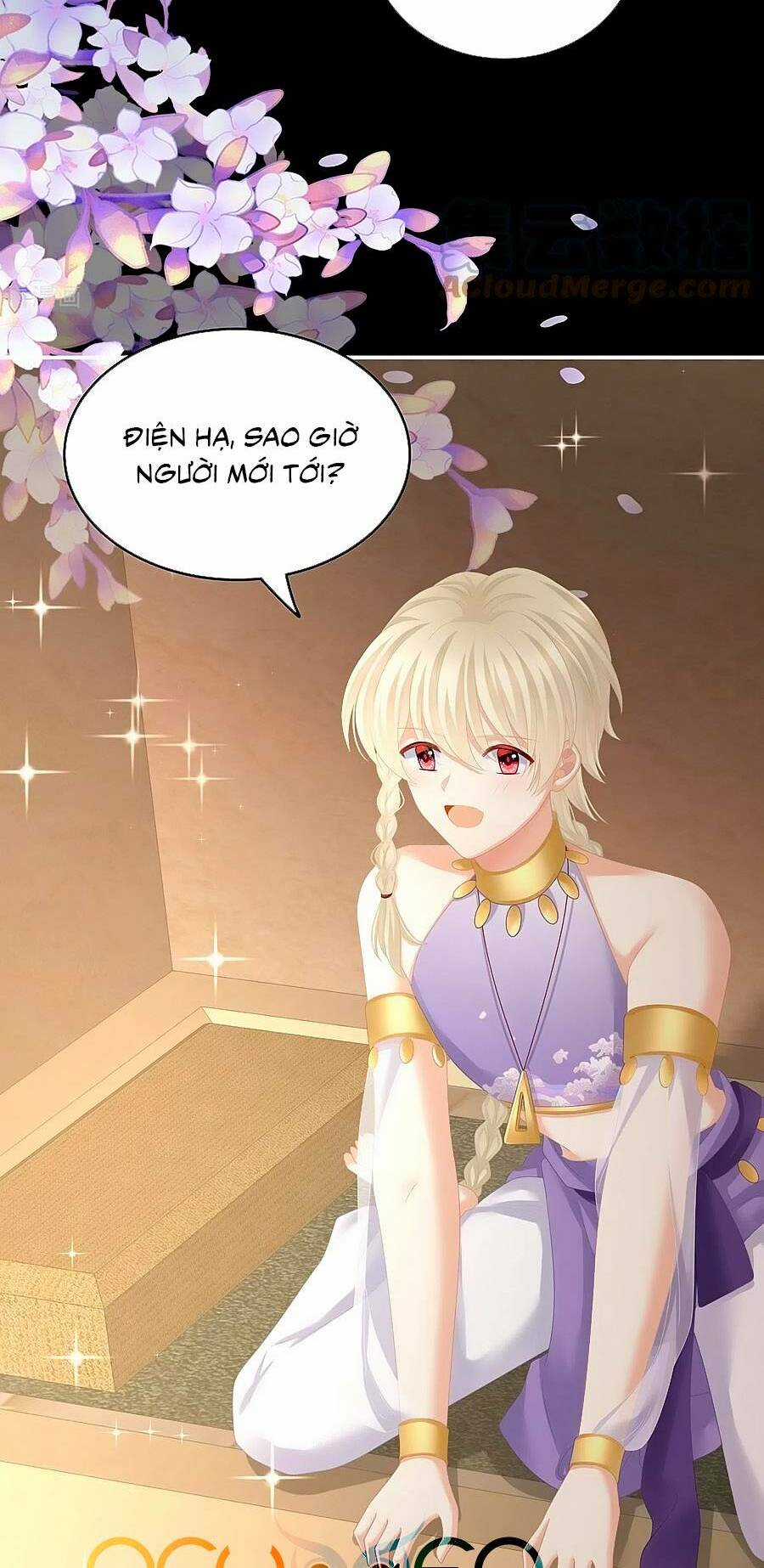 Hậu Cung Của Nữ Đế Chapter 265 trang 20