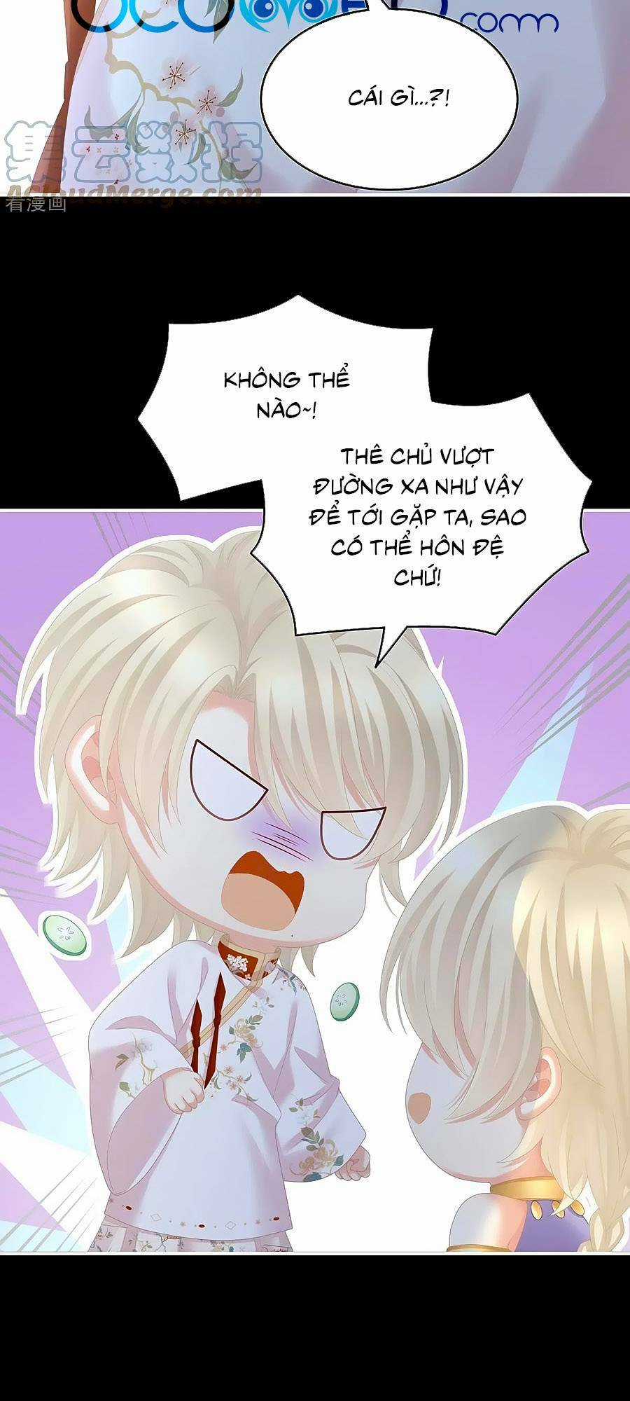 Hậu Cung Của Nữ Đế Chapter 265 trang 34