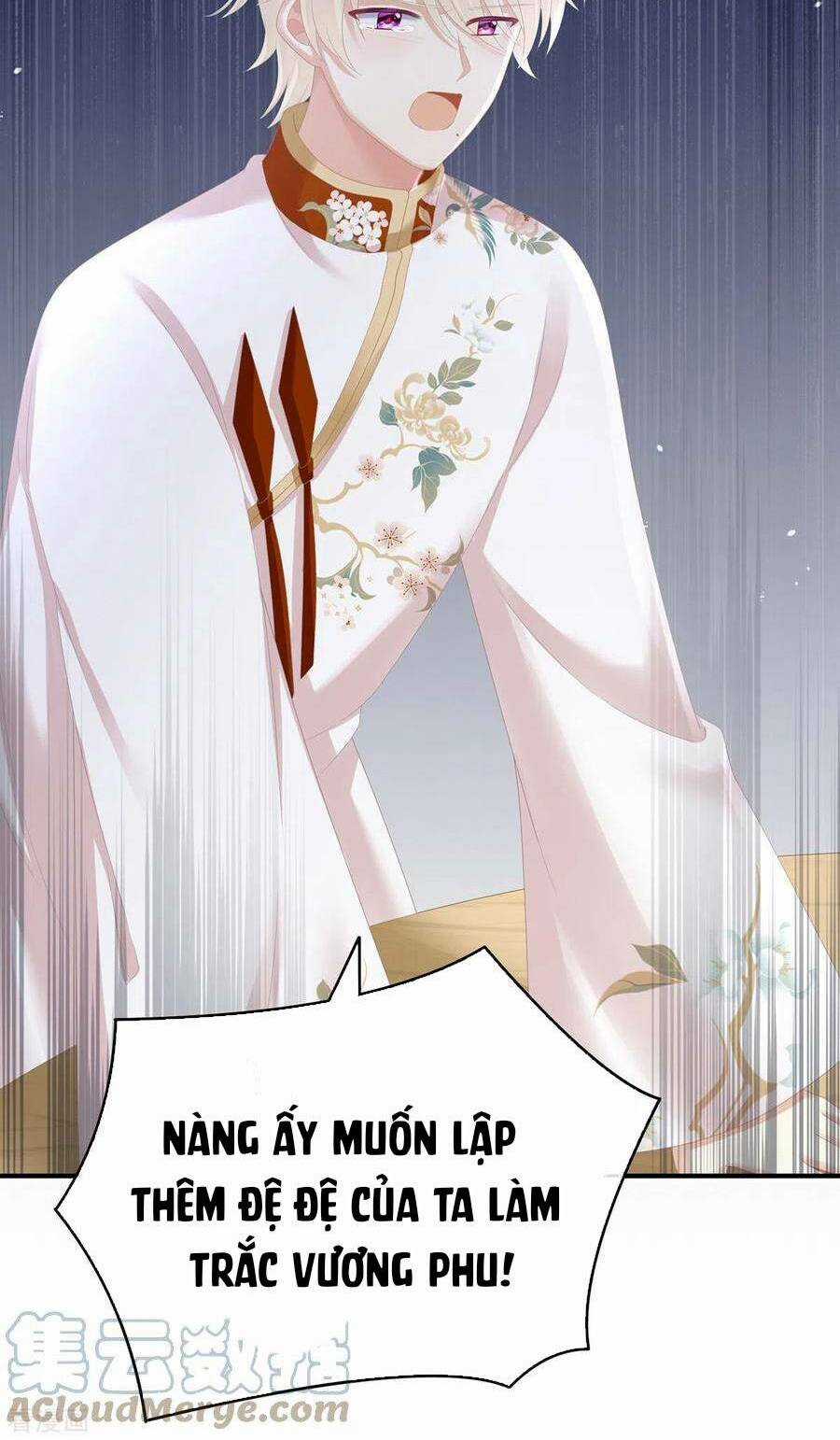 Hậu Cung Của Nữ Đế Chapter 266 trang 24