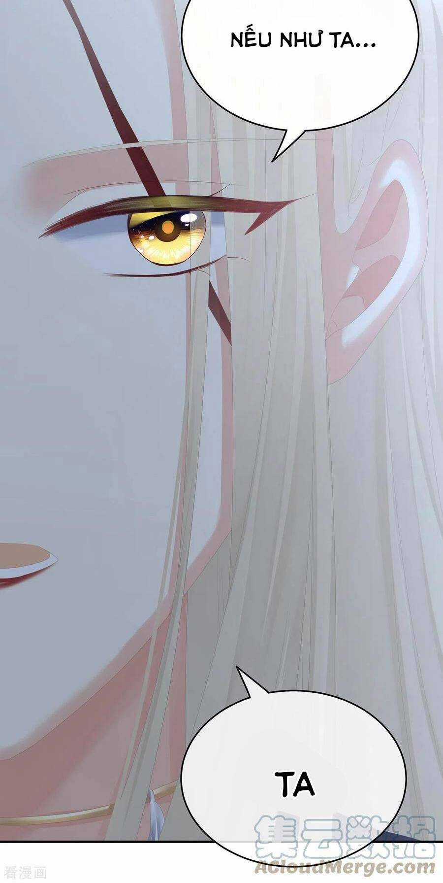 Hậu Cung Của Nữ Đế Chapter 266 trang 35