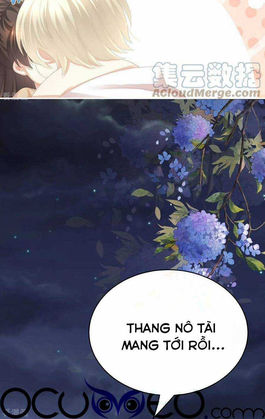 Hậu Cung Của Nữ Đế Chapter 268 trang 50