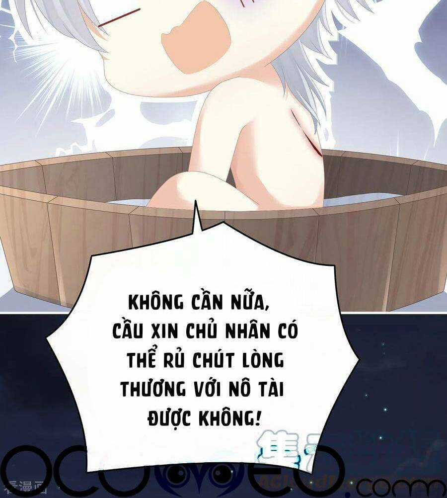 Hậu Cung Của Nữ Đế Chapter 272 trang 10