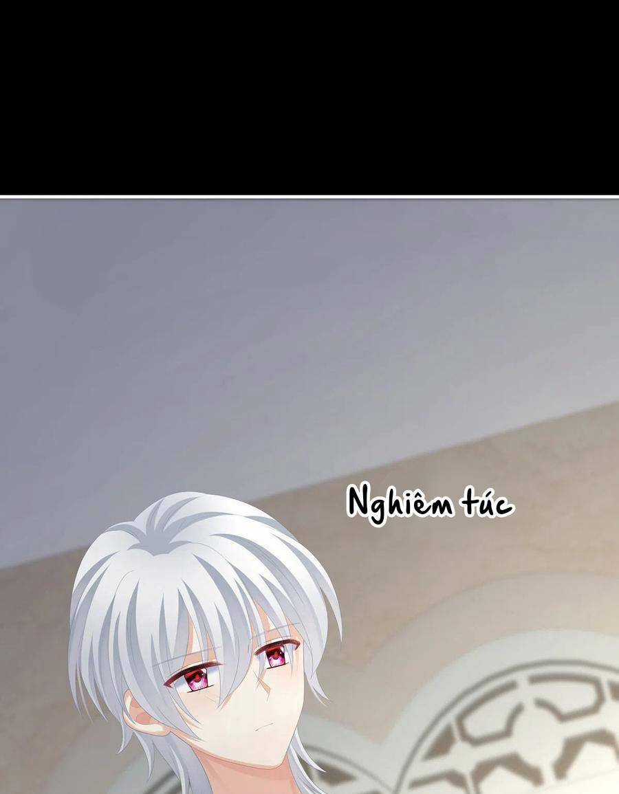 Hậu Cung Của Nữ Đế Chapter 272 trang 27