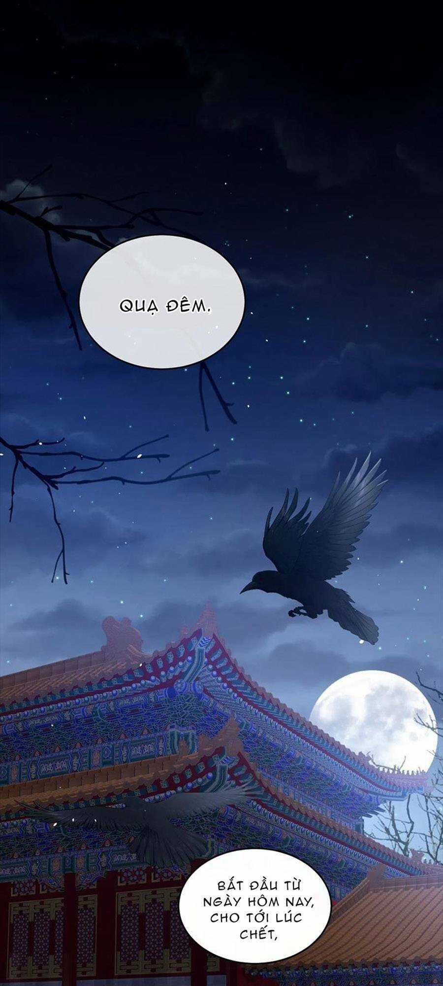 Hậu Cung Của Nữ Đế Chapter 273 trang 0