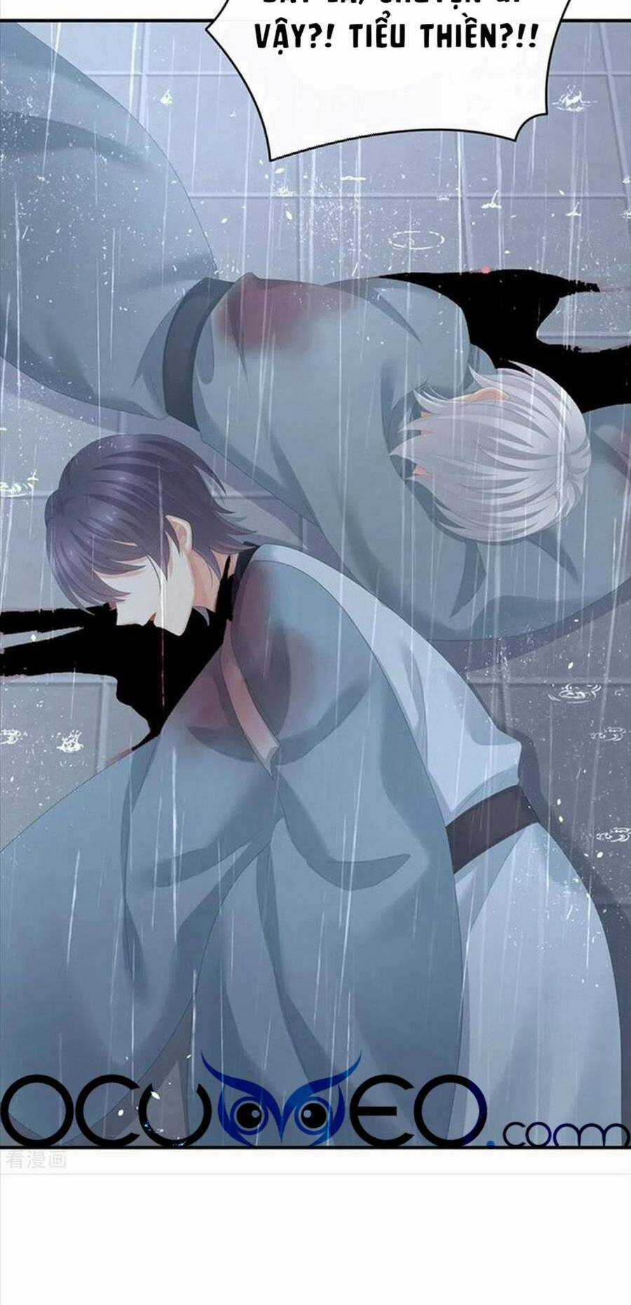 Hậu Cung Của Nữ Đế Chapter 273 trang 22