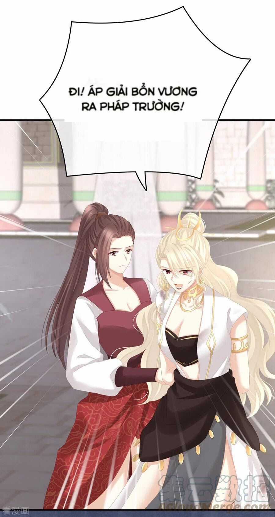 Hậu Cung Của Nữ Đế Chapter 276.1 trang 11