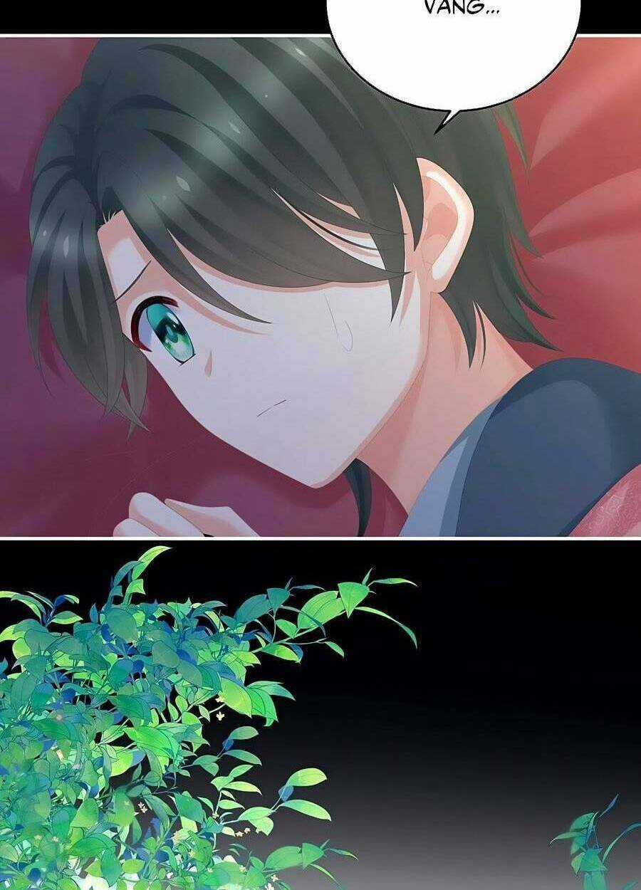 Hậu Cung Của Nữ Đế Chapter 284 trang 33