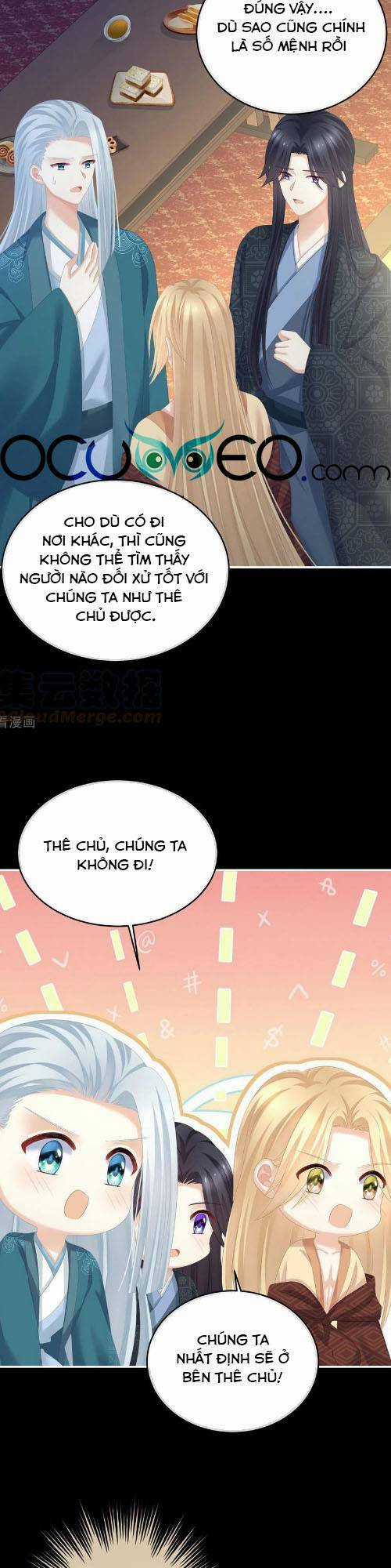 Hậu Cung Của Nữ Đế Chapter 287 trang 14