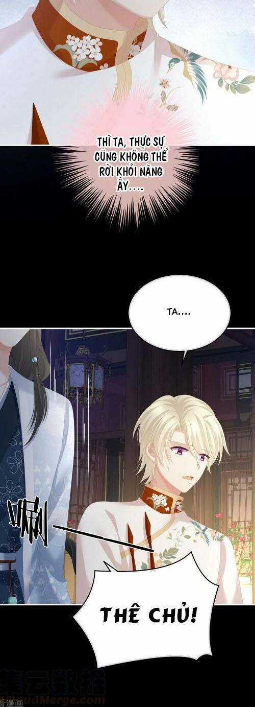 Hậu Cung Của Nữ Đế Chapter 287 trang 16