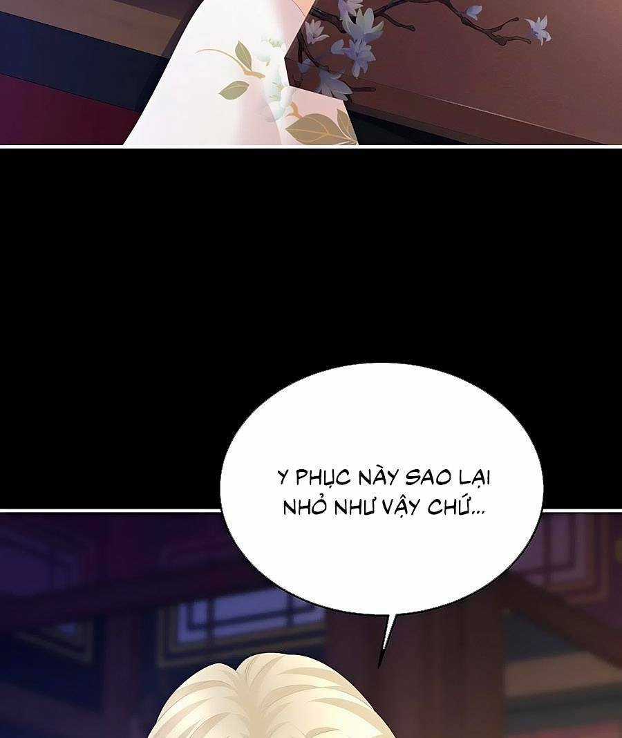 Hậu Cung Của Nữ Đế Chapter 288 trang 25