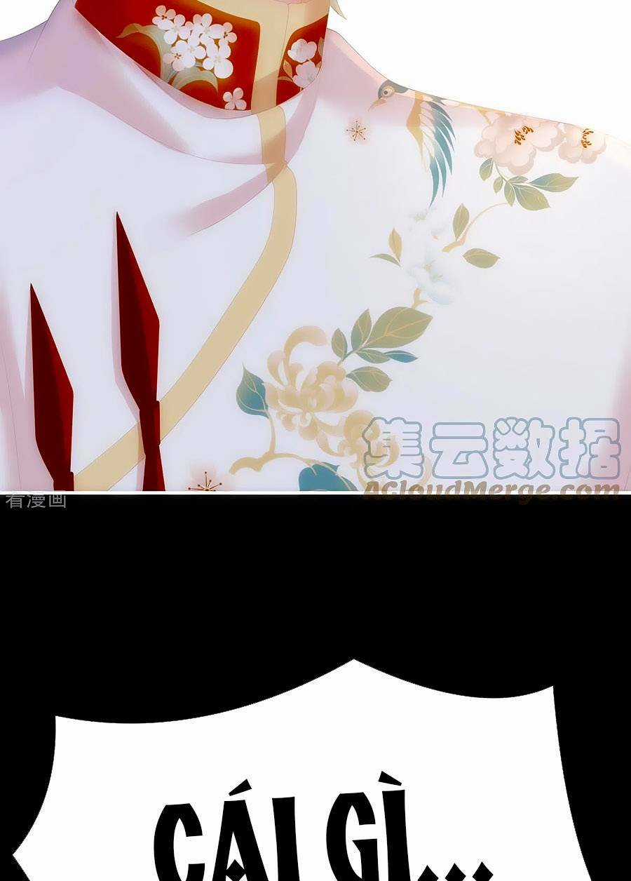 Hậu Cung Của Nữ Đế Chapter 288 trang 32