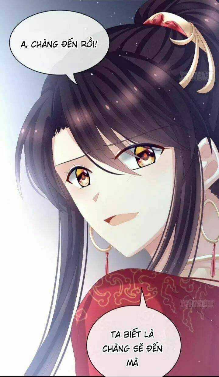 Hậu Cung Của Nữ Đế Chapter 29 trang 30