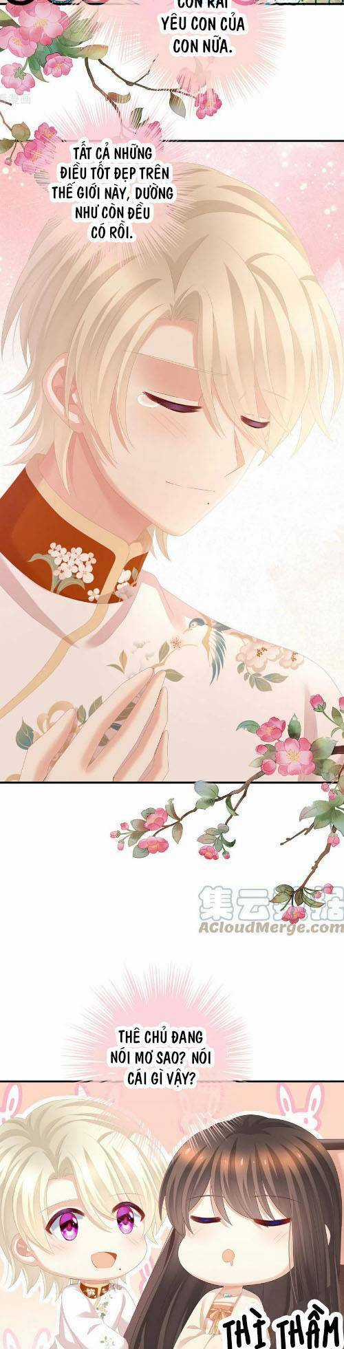 Hậu Cung Của Nữ Đế Chapter 290 trang 13