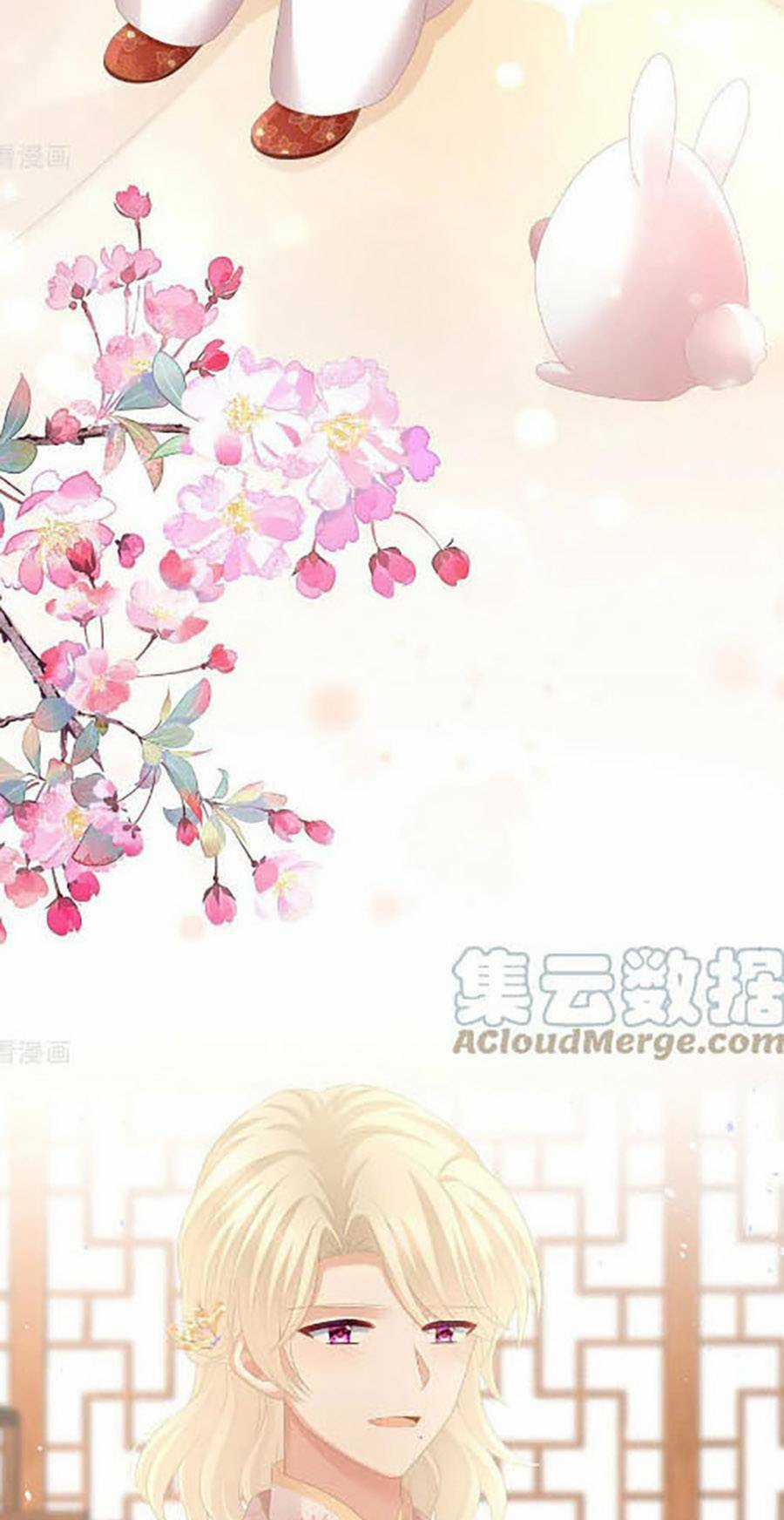 Hậu Cung Của Nữ Đế Chapter 291 trang 3