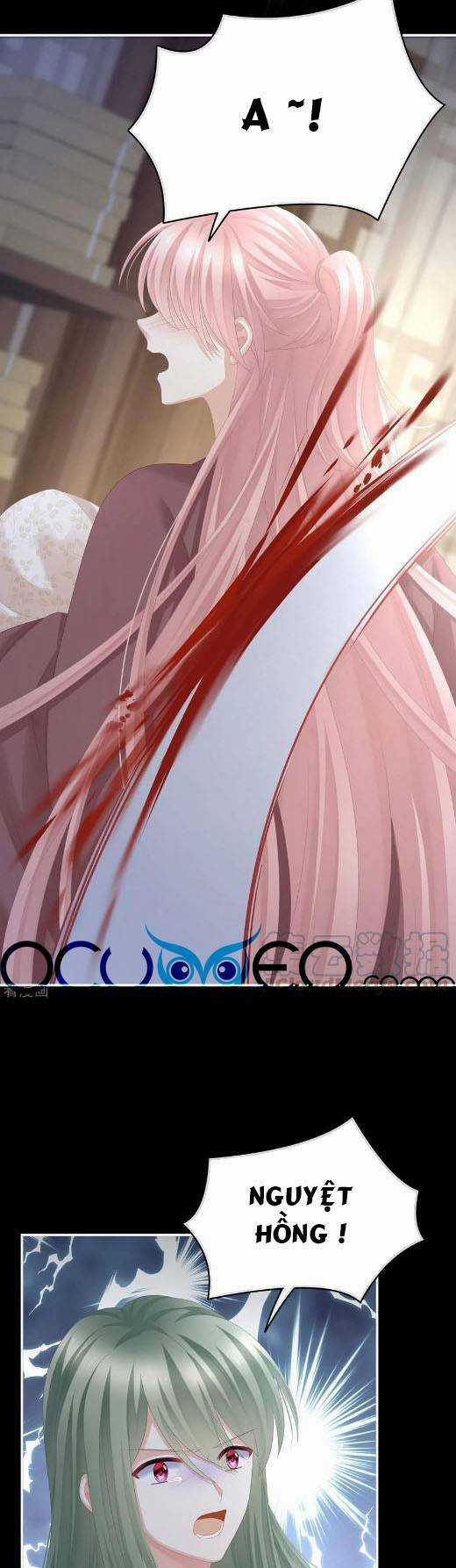 Hậu Cung Của Nữ Đế Chapter 294 trang 1