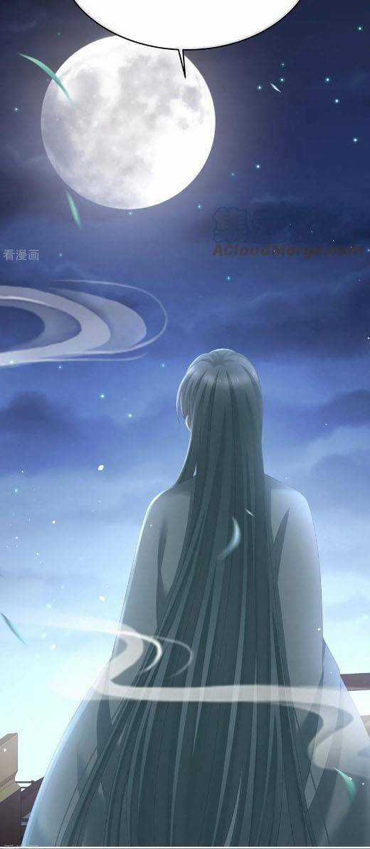 Hậu Cung Của Nữ Đế Chapter 294 trang 11