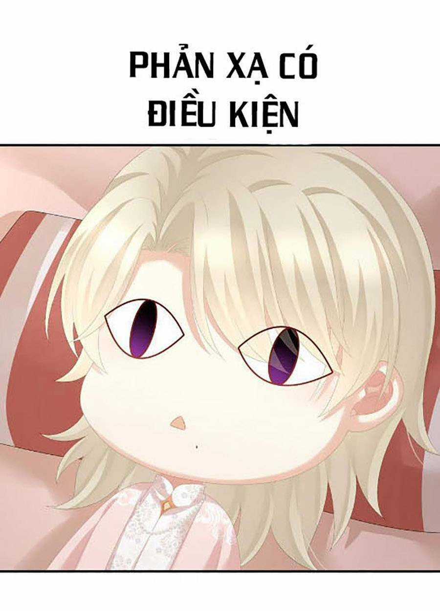 Hậu Cung Của Nữ Đế Chapter 296 trang 13